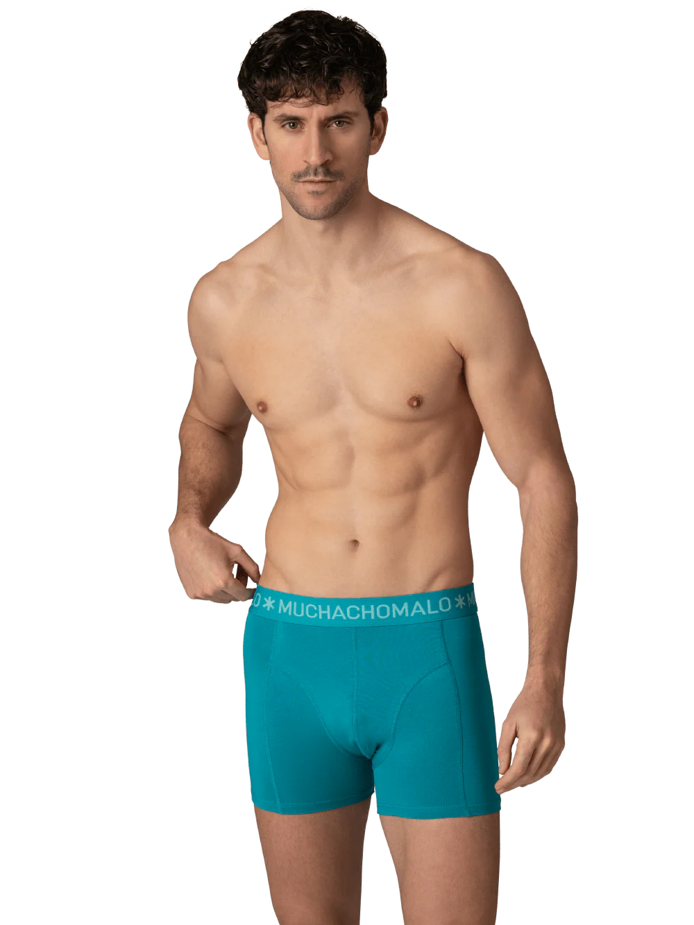 Miniatuur 2